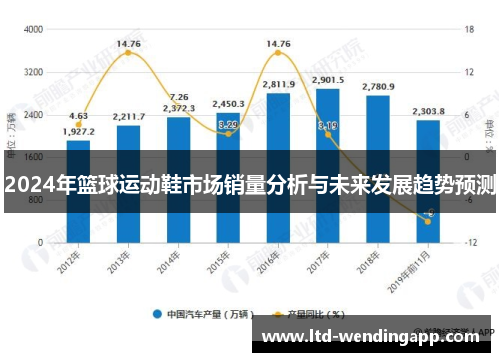 2024年篮球运动鞋市场销量分析与未来发展趋势预测