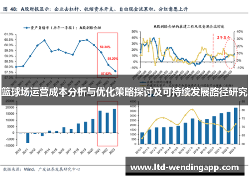 篮球场运营成本分析与优化策略探讨及可持续发展路径研究