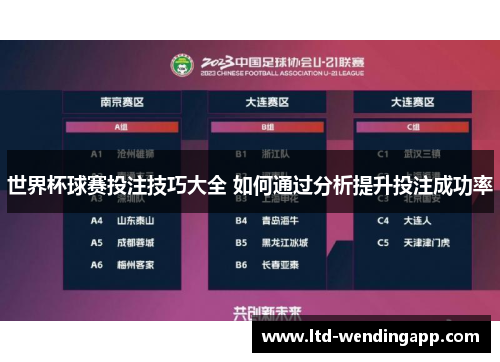 世界杯球赛投注技巧大全 如何通过分析提升投注成功率