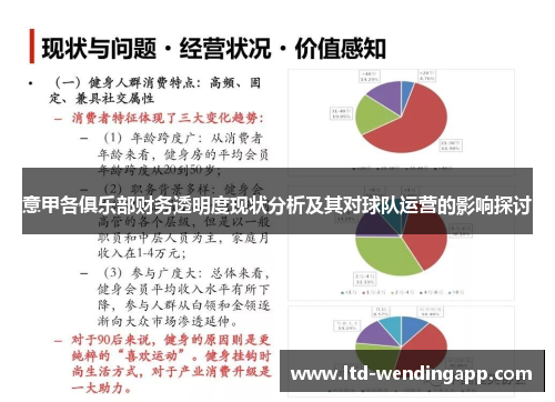 意甲各俱乐部财务透明度现状分析及其对球队运营的影响探讨