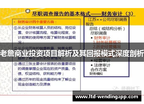 老詹商业投资项目解析及其回报模式深度剖析