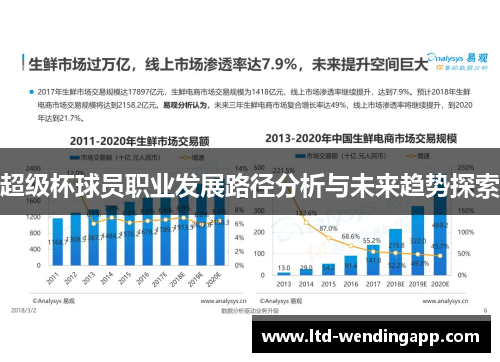 超级杯球员职业发展路径分析与未来趋势探索