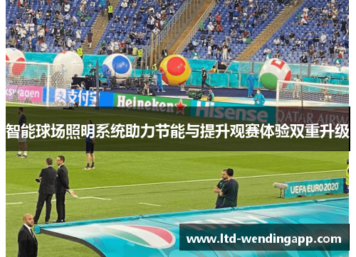 智能球场照明系统助力节能与提升观赛体验双重升级