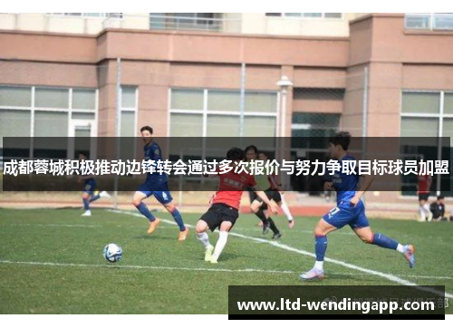 成都蓉城积极推动边锋转会通过多次报价与努力争取目标球员加盟