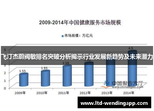 飞汀杰蔚阀敏排名突破分析揭示行业发展新趋势及未来潜力