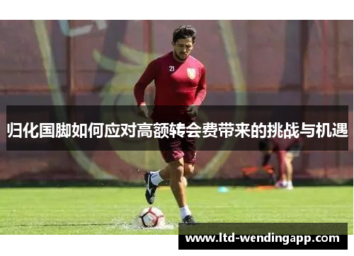 归化国脚如何应对高额转会费带来的挑战与机遇