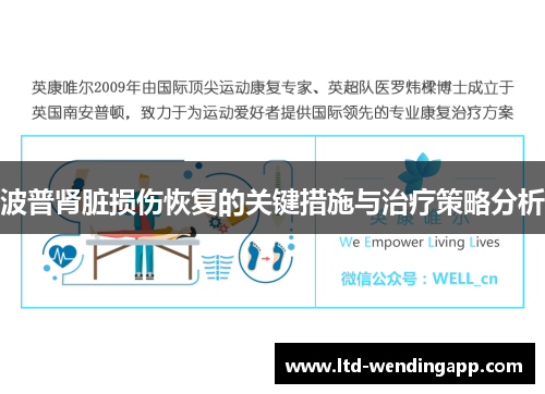 波普肾脏损伤恢复的关键措施与治疗策略分析
