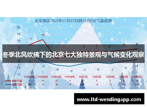 冬季北风吹拂下的北京七大独特景观与气候变化观察