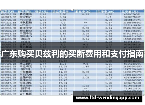 广东购买贝兹利的买断费用和支付指南