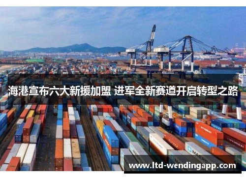 海港宣布六大新援加盟 进军全新赛道开启转型之路