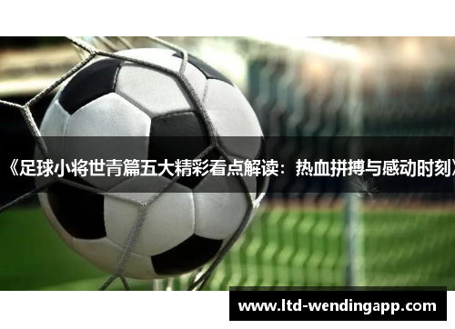 《足球小将世青篇五大精彩看点解读：热血拼搏与感动时刻》