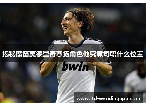 揭秘魔笛莫德里奇赛场角色他究竟司职什么位置