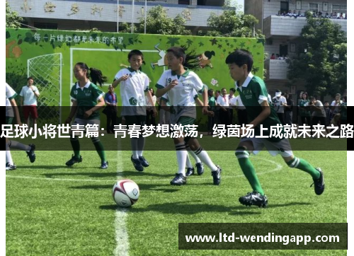 足球小将世青篇：青春梦想激荡，绿茵场上成就未来之路