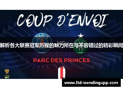 解析各大联赛冠军历程的魅力所在与不容错过的精彩瞬间